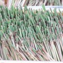 태인농장 이미지