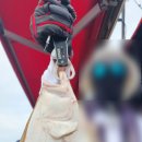 프로낚시 | [낚시상품리뷰] 스타텍 피싱프로 낚시장갑(내돈내산후기)