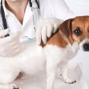 소래동물병원 이미지