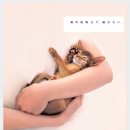 이쁜멍멍이 이미지