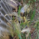 대구병원 뒤편 이미지