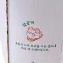 백억커피 김해율하점