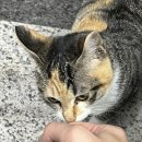 (주)에브리마트 이미지