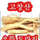 약초도라지도소매