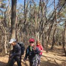 광덕산2로 | 청라산악회 2026년 시산제 및 광덕산 산행 2026.03.28.