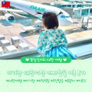 타이베이 여행 :: 에바항공 이용 후기 / 유모차 #와이업지니에스 &amp; 부가부 / 아기 이유식 반입 규정...