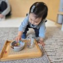 오티농장 이미지