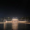 [충남 부여] 백제문화단지 야간개장 밤도깨비스탬프투어 후기