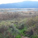 개진면사무소 이미지