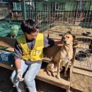 안양본동물의료센터 이미지