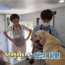 멍빨DAY 네이버블로그