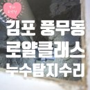 김포가스합자회사 | 김포 풍무동 로얄클래스 아랫집 천장 누수, 탐지부터 수리까지 한 번에 해결!