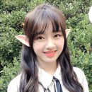 코코로 이미지