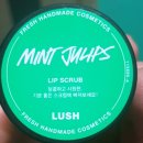 리얼민트 티스토리