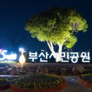 황토메타길 | 2025 부산시민공원 빛축제 별빛산책길 서면 데이트코스 밤에 가볼만한곳