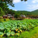종오정 | 경주 종오정 후기, 고즈넉한 풍경 보러 갔다가 마음까지 한옥 모드