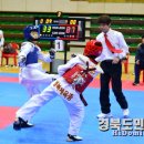 계명태권도 이미지