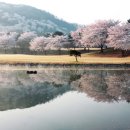 태마당로 이미지