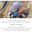 정말 좋은 "국산 저온압착 참기름들기름" 소개해요 이미지