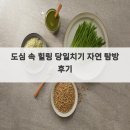 도심속작은자연flos | 도심 속 힐링 당일치기 자연 탐방 후기