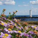 갯골생태공원 이미지