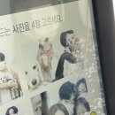 셀픽스 이미지