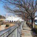 성지연꽃길 이미지