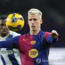 올모 연합뉴스