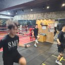 용인대SM복싱클럽 계양구청점 이미지