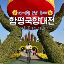 함평읍경로식당 | 전남 축제 2023 함평국화축제 기본정보 및 함평국향대전 입장료, 주차장 등 후기