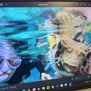 다대포해수욕장-주영정보통신 | [세부] 내돈내산 고프로 대여 24시 인천공항 보홀 스노쿨링 (영상O)