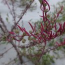 (주)나무재 이미지