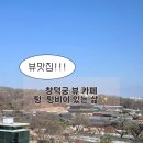 언니비어 | 텅:텅비어있는삶 내돈내산 후기