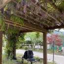 소야리 버스정류장 이미지