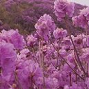 안동댐물문화박물관 이미지