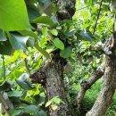 남촌동입구 이미지