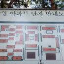 ﻿강남 압구정동 1차 37평형 압구정 한양아파트 전세 임대 관련 디스코드 서버 및 웹주소안내 (갤러리아백화점 인근) 20221230 이미지