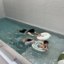 인더쉐이드 이미지