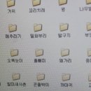 새이름 Daum카페