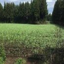 영농목장 이미지