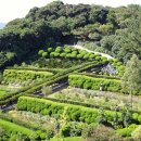 외도보타니아 이미지