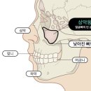 훈치과의원 네이버블로그