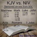 킹제임스 성경(KJV)와 신국제역 성경(NIV) 비교(2) 이미지