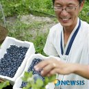 김준식농장 이미지