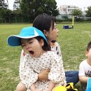 영천동 법호촌 네이버블로그