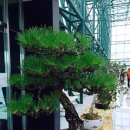 만평농장 이미지