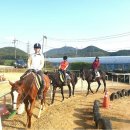 마전목장 이미지