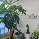 동아부동산공인중개사사무소 이미지