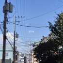 W1_웨딩 촬영을 누가 한달만에 준비해? (야외 스냅 준비 타임라인, 준비 후기…)