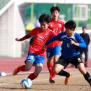 광양축구전용구장 축구전용1구장 이미지